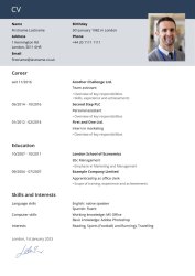 Blue & Green CV Blue & Green CV