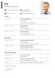 CV with icons CV with icons