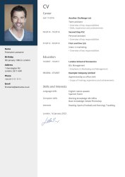 Professional CV Professional CV