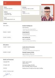 Stylish CV Stylish CV